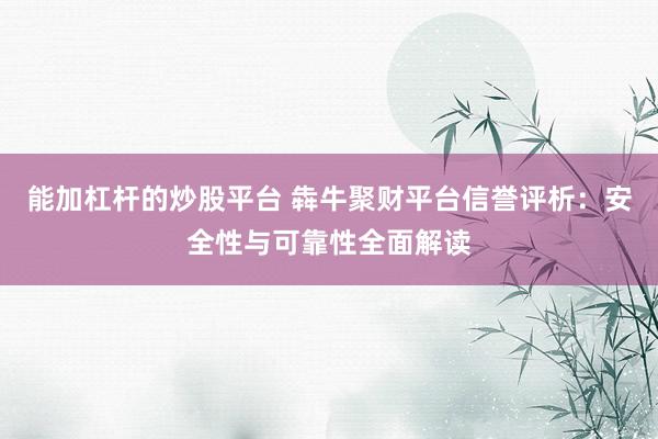 能加杠杆的炒股平台 犇牛聚财平台信誉评析：安全性与可靠性全面解读