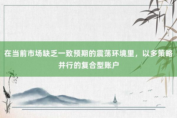 在当前市场缺乏一致预期的震荡环境里，以多策略并行的复合型账户