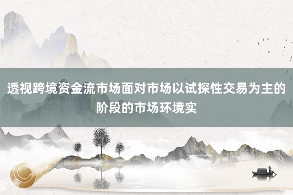 透视跨境资金流市场面对市场以试探性交易为主的阶段的市场环境实