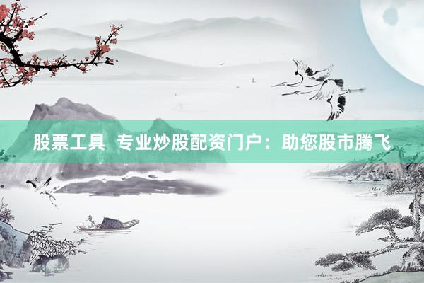 股票工具  专业炒股配资门户：助您股市腾飞