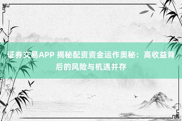 证券交易APP 揭秘配资资金运作奥秘：高收益背后的风险与机遇并存