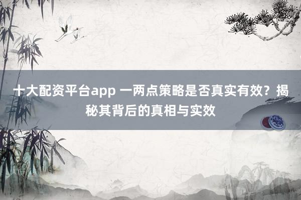 十大配资平台app 一两点策略是否真实有效？揭秘其背后的真相与实效